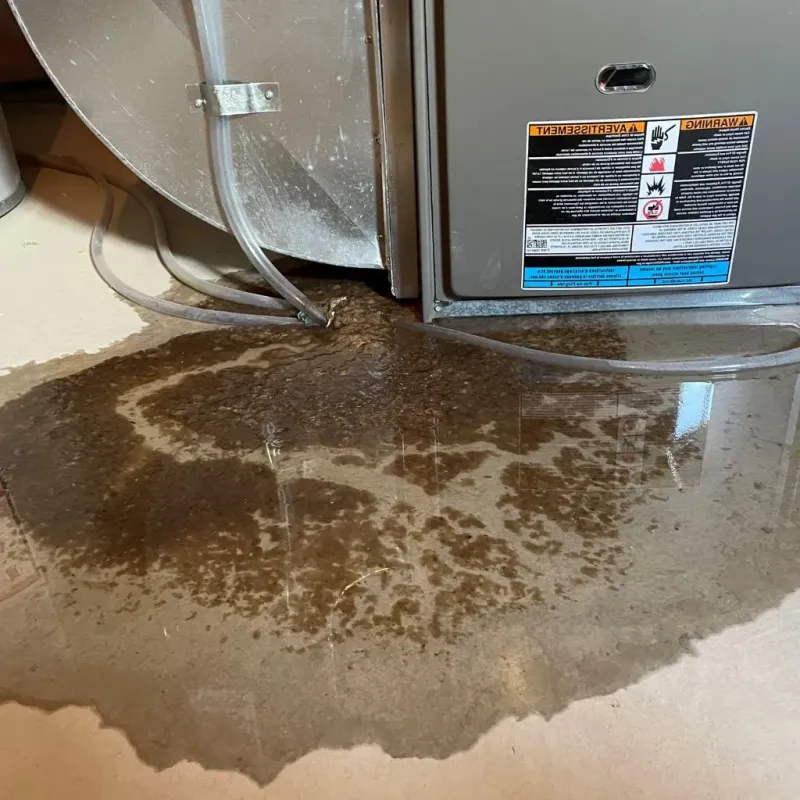 Pipe Burst and Leak Restoration in Wilkinson Heights, SC